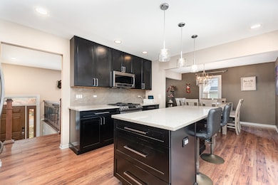 unlisted-address, Bolingbrook, IL 60440 - photo 6