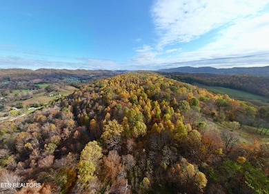 dji_fly_20241108_100452_803_173108334696