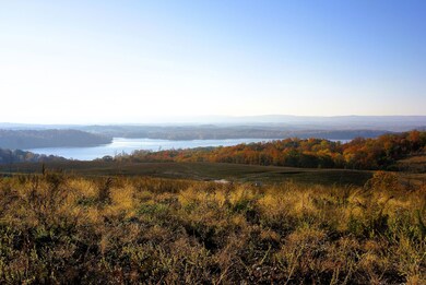 0 Charles Rd unit 22955892, Decatur, TN 37322 - photo 3