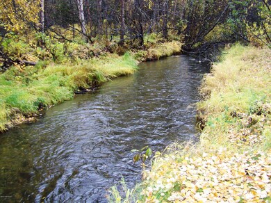 Peaceful Wasilla Creek downstream