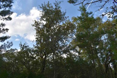 0 Sea Meadows Dr unit 312713, Perry, FL 32348 - photo 5