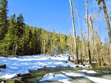 Logging road to upper home site