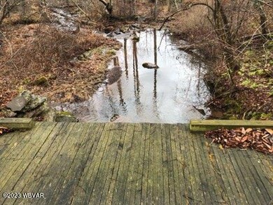 Creek1