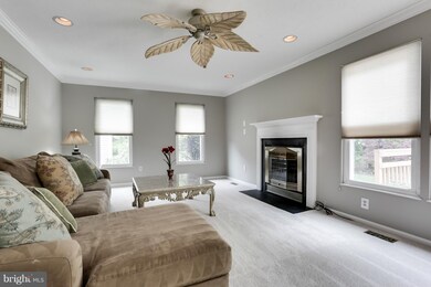 4405 Saddle Creek Way, Burtonsville, MD 20866 - photo 3