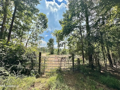 0 Whitetown Ln, Hazlehurst, MS 39083 - photo 2