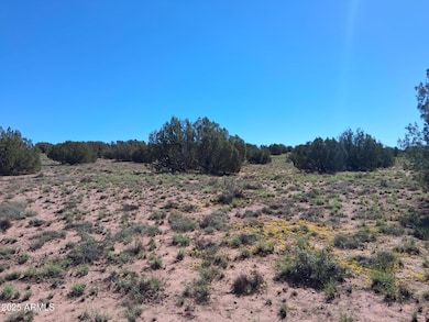 236 County Rd N9226 --, Concho, AZ 85924 - photo 7