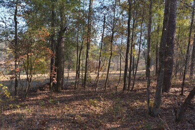 1080 Waterstone Dr, Madison, GA 30650 - photo 5