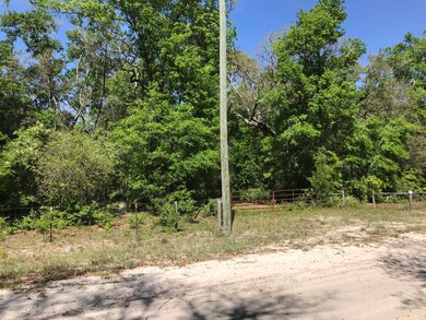 141 Indian Trail, Florahome, FL 32140 - photo 4