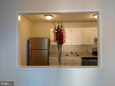3754 Bel Pre Rd unit 8, Silver Spring, MD 20906 - photo 4