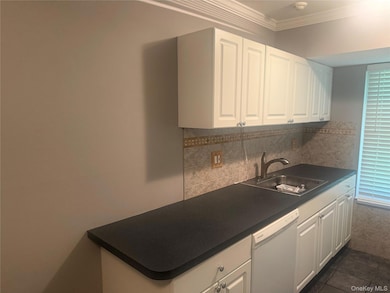 Kitchen featuring white cabinetry, dishwasher, crown molding, dark countertops, and decorative backsplash