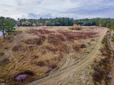 0 Edgerly Dequincy Rd unit SWL25102193, Vinton, LA 70668 - photo 3