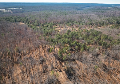 000 Deason Drive-Tract 1, Licking, MO 65542 - photo 2