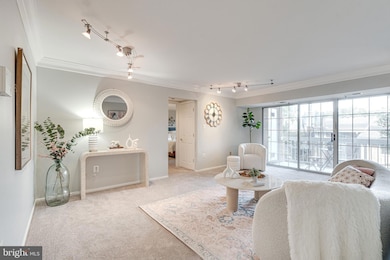 1923 Wilson Ln unit 202, McLean, VA 22102 - photo 3