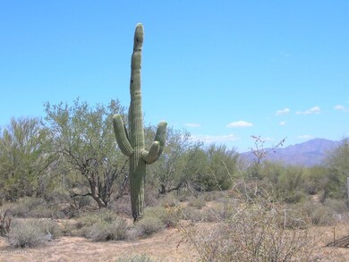 This is Arizona!
