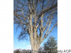 100 S Niles Ave, Tuscola, IL 61953 - photo 4