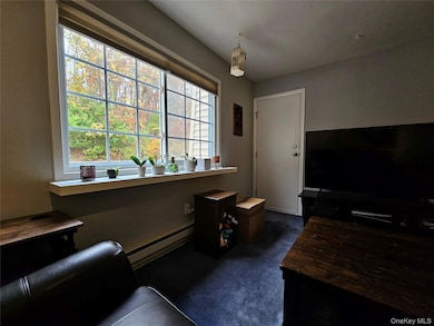 219 Fox Run Ln unit 2C, Carmel, NY 10512 - photo 2