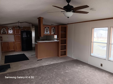 67761 70th St, Watervliet, MI 49098 - photo 5