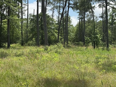 033 Pr 6026, Brookeland, TX 75931 - photo 7