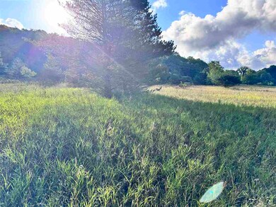 TBD Jordan Hills Dr unit Parcel 5, Echo Township, MI 49727 - photo 3