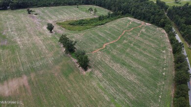 56 +- Ac Highway 63 N, Lucedale, MS 39452 - photo 4