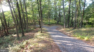 LOT 258 Nathaniel Mountain Rd, Moorefield, WV 26836 - photo 5