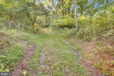 1181 LOT 3 Fritztown Rd, Reinholds, PA 17569 - photo 7