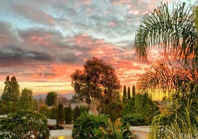 View from balcony sunrise