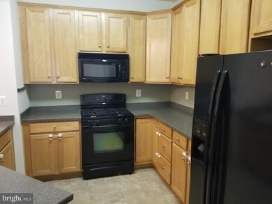 107 Featherstone Place, Frederick, MD 21702 - photo 5