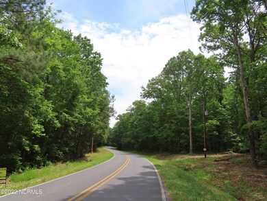 0 Mt Lebanon unit 100339333, Troy, NC 27371 - photo 4