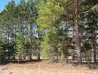 2760 Mockingbird Dr unit 20, Traverse City, MI 49685 - photo 2