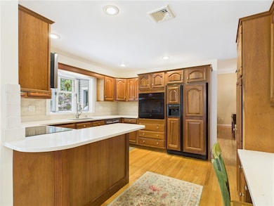 Quartz countertops and quality hardwood cabinets