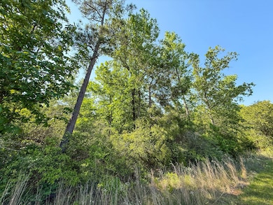 0 Tbd Hwy 69, Woodville, TX 75979 - photo 6