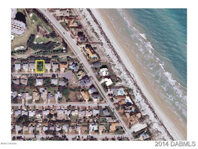 Loggerhead
