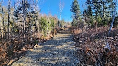 Crystal Rd, Crystal, ME 04747 - photo 5