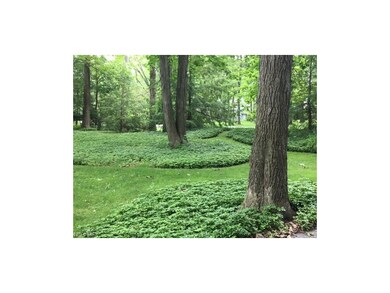 Front Lawn