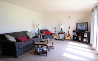 16165 Annesley Rd, East Liverpool, OH 43920 - photo 3