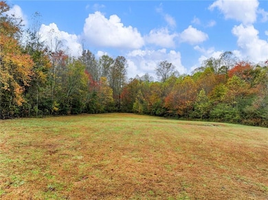 849 Blacksnake Rd, Mount Airy, GA 30563 - photo 2