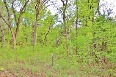 Lot 1 Lakecrest Dr, Pottsboro, TX 75076 - photo 7