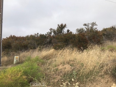 0 Cary Rd unit SW23170271, Anza, CA - photo 5