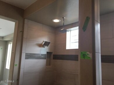 Rain Forest Shower Head
