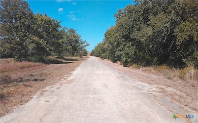 2565 Five Mile & Hwy 95 Rd, Flatonia, TX 78941 - photo 3