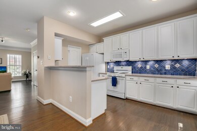 9828 Darcy Forest Dr, Silver Spring, MD 20910 - photo 6