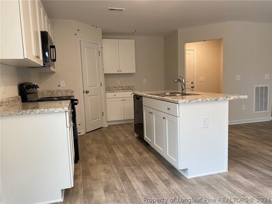 67 Dalmation (Lot 27) Ln, Parkton, NC 28371 - photo 5