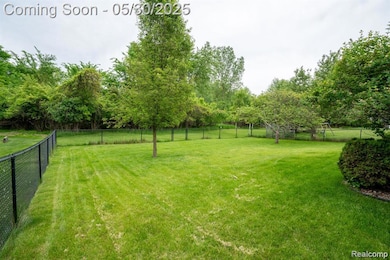 Back Yard Towards Green Space