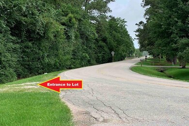 000 Fairway Dr, Alvin, TX 77511 - photo 3