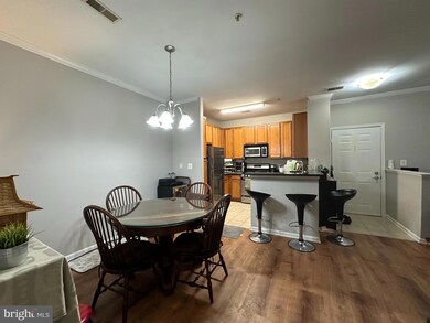 1516 N Point Dr unit 101, Reston, VA 20194 - photo 6