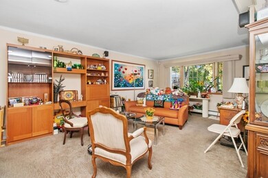 191 Spiers Rd, Newton Center, MA 02459 - photo 5