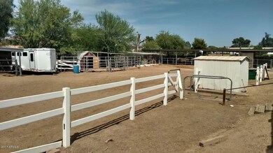 Equestrian Area