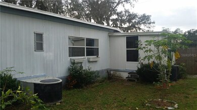 Side yard with fruit trees.  Door leads to Florida
