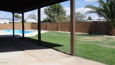 back yard